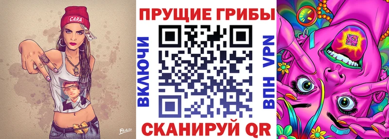 купить наркотики сайты Сланцы Галлюциногенные грибы Cubensis